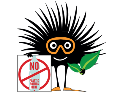 Öko-freundliche Tauch-Trips